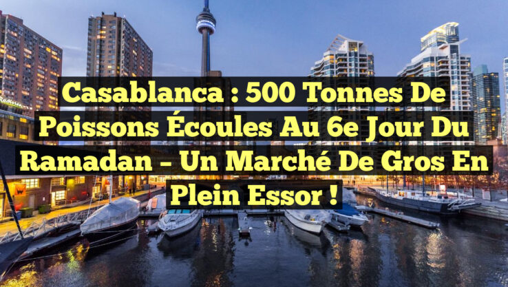 Casablanca : 500 Tonnes de Poissons Écoules au 6e Jour du Ramadan – Un Marché de Gros en Plein Essor !