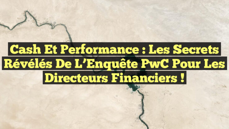 Cash et Performance : Les Secrets Révélés de l’Enquête PwC pour les Directeurs Financiers !