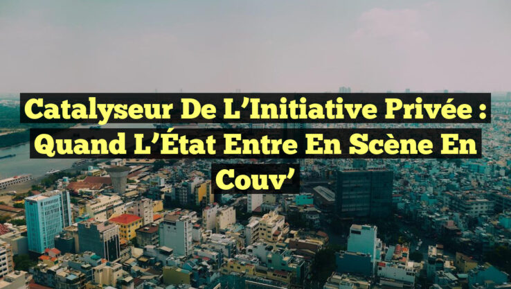 Catalyseur de l’Initiative Privée : Quand l’État entre en Scène en Couv’