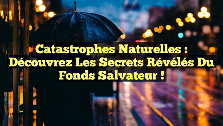 Catastrophes Naturelles : Découvrez les Secrets Révélés du Fonds Salvateur !