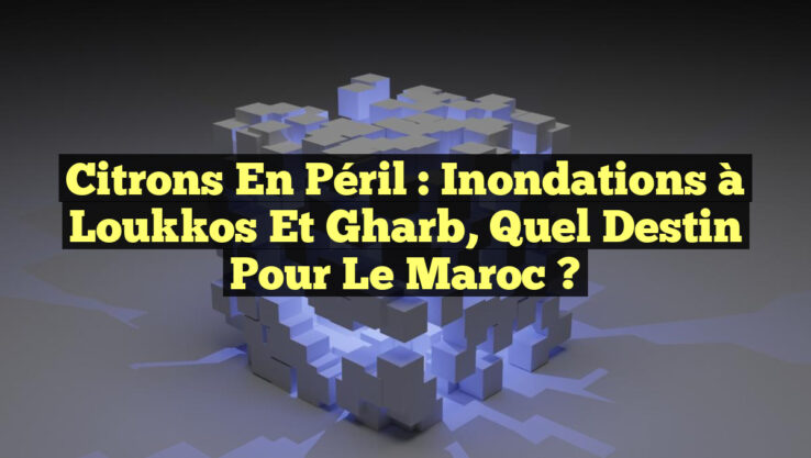 Citrons en Péril : Inondations à Loukkos et Gharb, Quel Destin Pour le Maroc ?