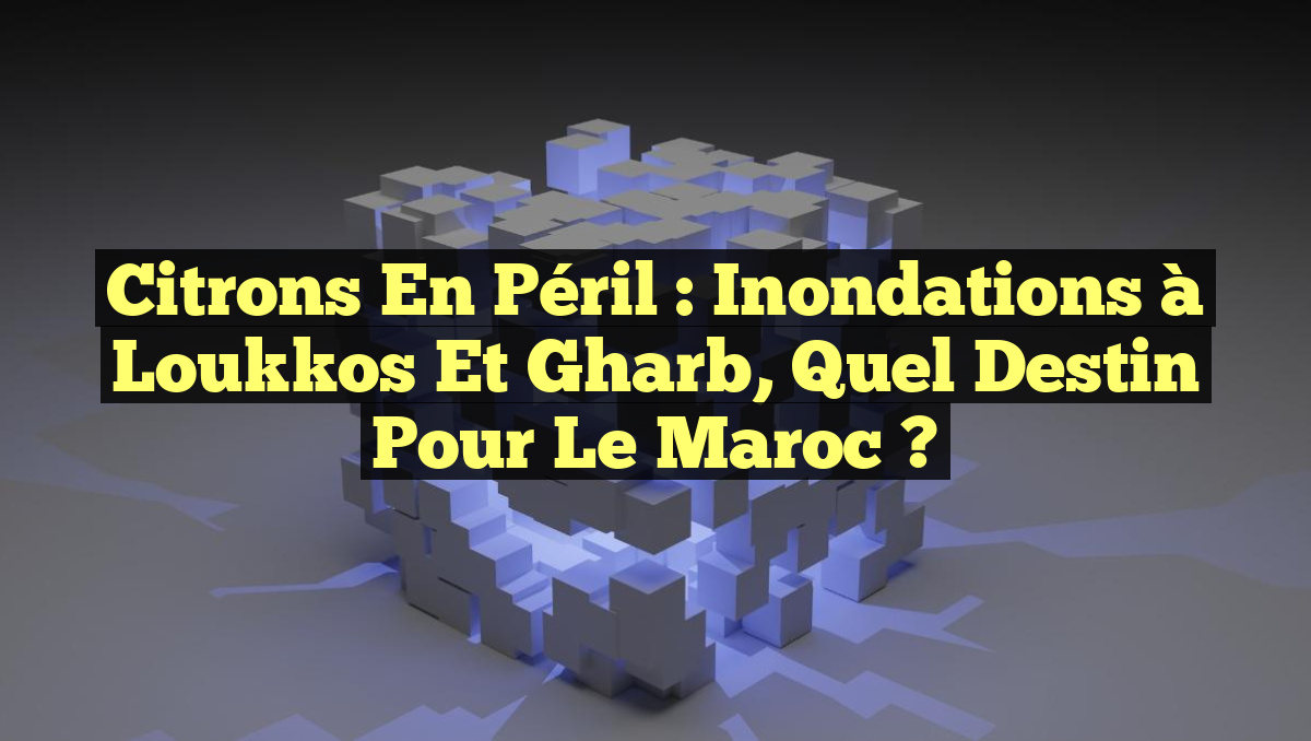 Citrons en Péril : Inondations à Loukkos et Gharb, Quel Destin Pour le Maroc ?