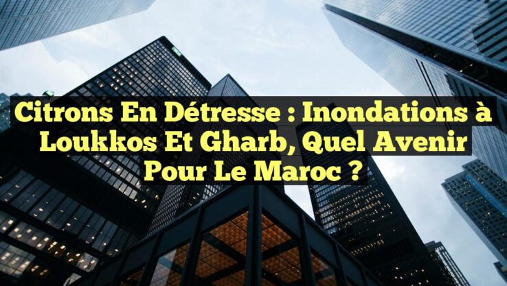 Citrons en Détresse : Inondations à Loukkos et Gharb, Quel Avenir Pour le Maroc ?