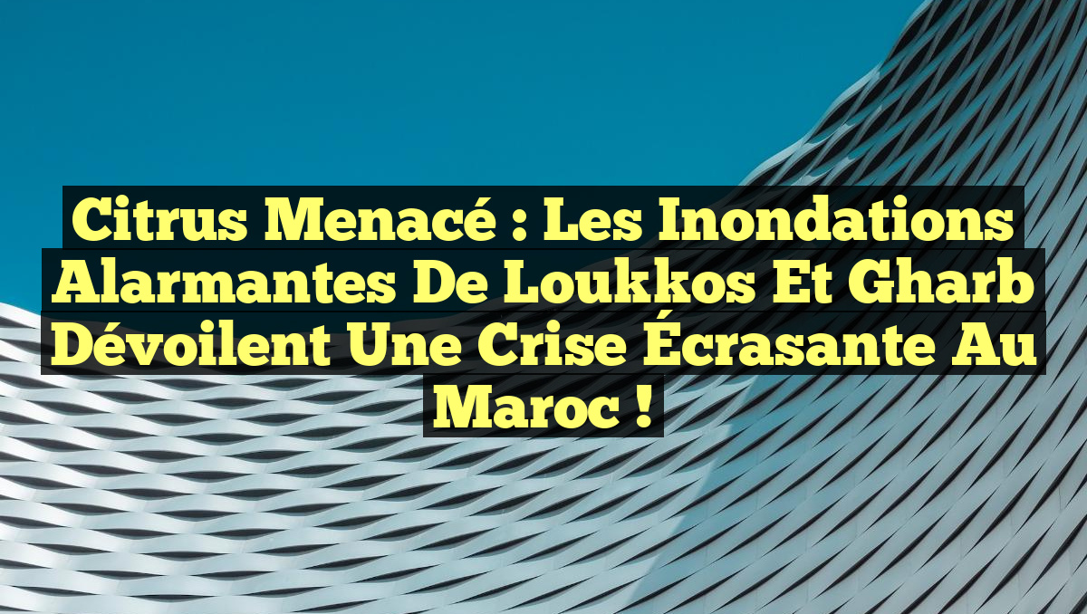 Citrus Menacé : Les Inondations Alarmantes de Loukkos et Gharb Dévoilent une Crise Écrasante au Maroc !