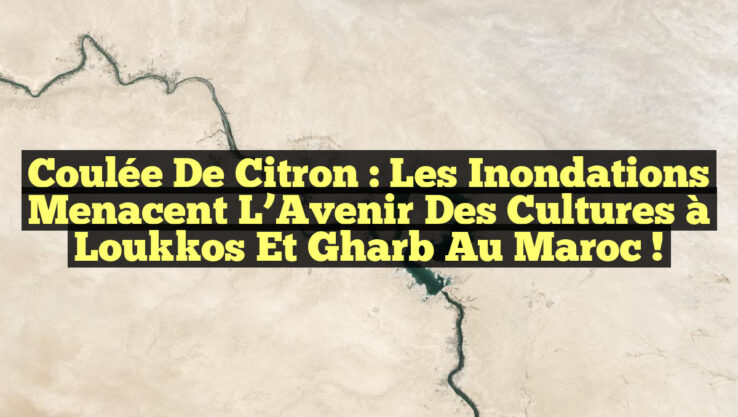Coulée de Citron : Les Inondations Menacent l’Avenir des Cultures à Loukkos et Gharb au Maroc !