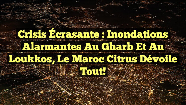 Crisis Écrasante : Inondations Alarmantes au Gharb et au Loukkos, le Maroc Citrus Dévoile Tout!