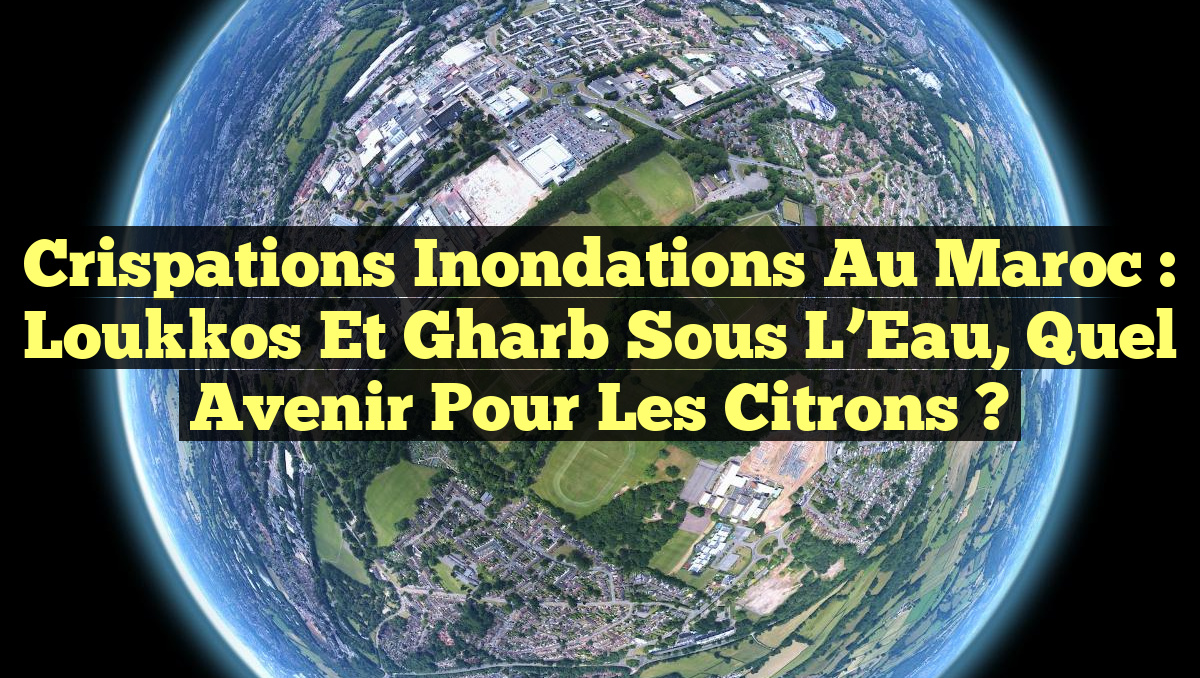 Crispations Inondations au Maroc : Loukkos et Gharb sous l&rsquo;Eau, Quel Avenir pour les Citrons ?