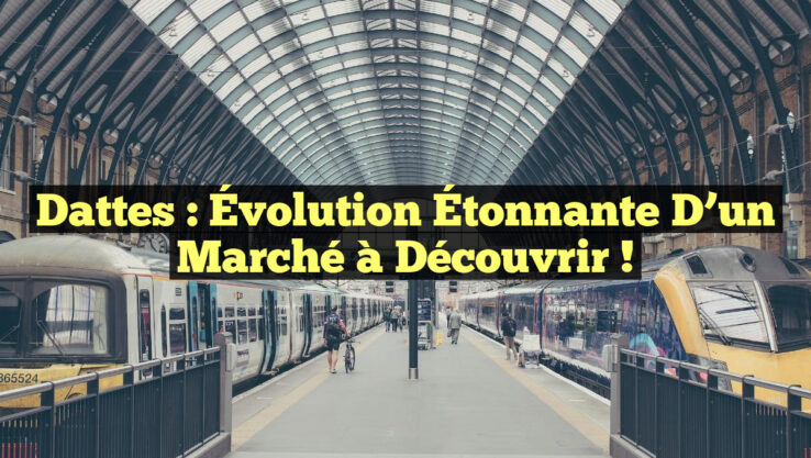 Dattes : Évolution Étonnante d’un Marché à Découvrir !