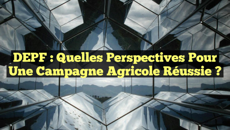 DEPF : Quelles Perspectives pour une Campagne Agricole Réussie ?