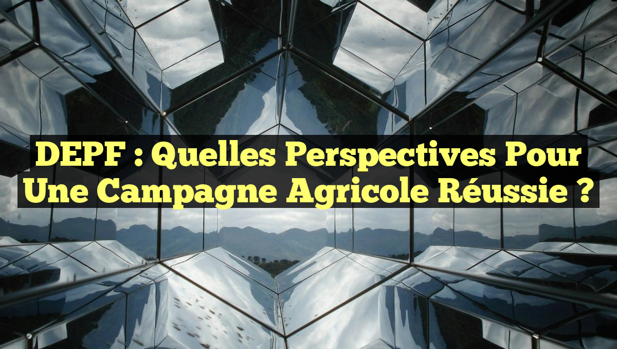 DEPF : Quelles Perspectives pour une Campagne Agricole Réussie ?