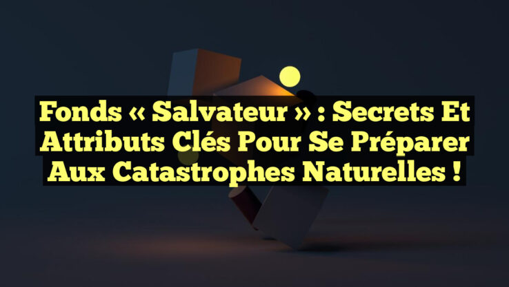 Fonds « Salvateur » : Secrets et Attributs Clés pour Se Préparer aux Catastrophes Naturelles !
