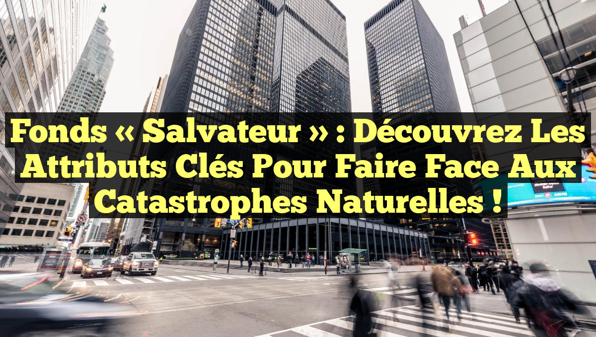 Fonds « Salvateur » : Découvrez les Attributs Clés pour Faire Face aux Catastrophes Naturelles !