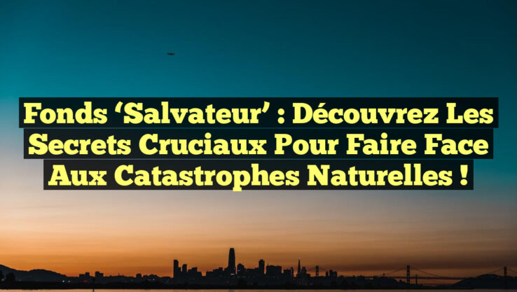Fonds ‘Salvateur’ : Découvrez les Secrets Cruciaux pour Faire Face aux Catastrophes Naturelles !
