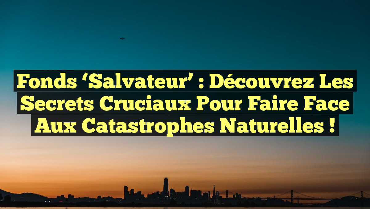 Fonds &lsquo;Salvateur&rsquo; : Découvrez les Secrets Cruciaux pour Faire Face aux Catastrophes Naturelles !