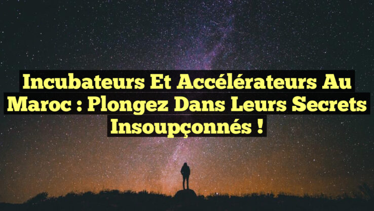 Incubateurs et Accélérateurs au Maroc : Plongez dans leurs Secrets Insoupçonnés ! Incubateurs et Accélérateurs au Maroc : Plongez dans leurs Secrets Insoupçonnés !