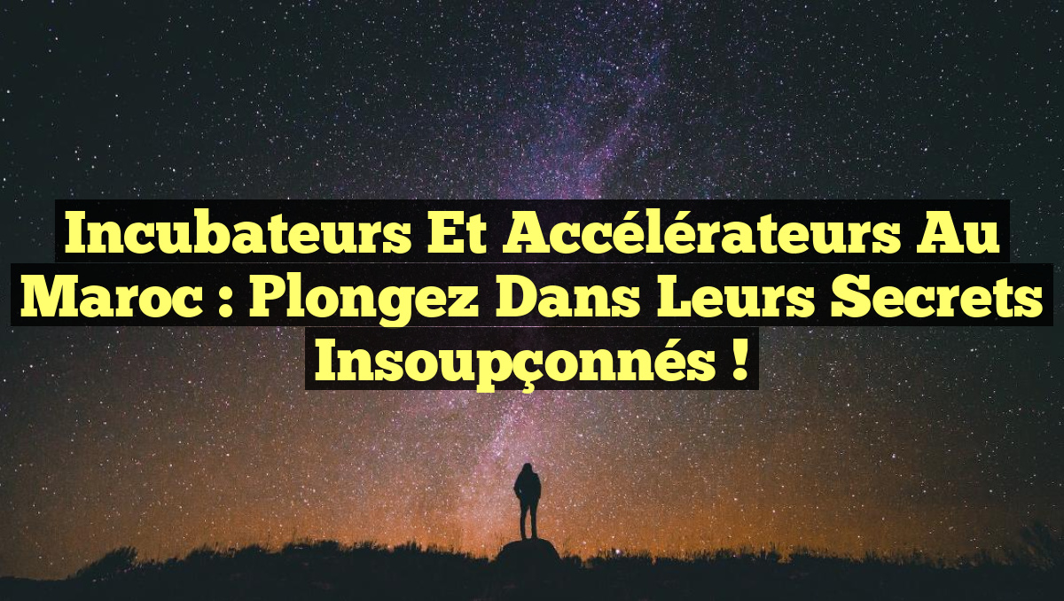 Incubateurs et Accélérateurs au Maroc : Plongez dans leurs Secrets Insoupçonnés !