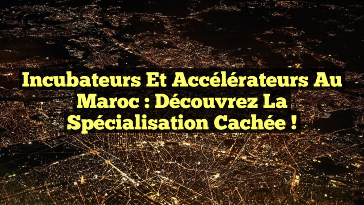 Incubateurs et Accélérateurs au Maroc : Découvrez la Spécialisation Cachée ! Incubateurs et Accélérateurs au Maroc : Découvrez la Spécialisation Cachée !
