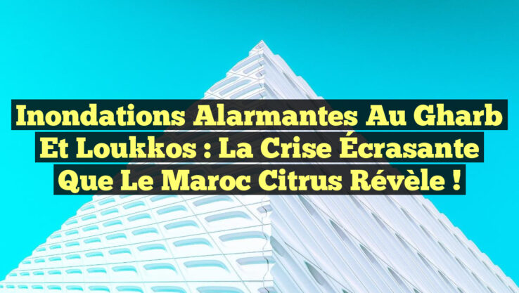 Inondations Alarmantes au Gharb et Loukkos : La Crise Écrasante que le Maroc Citrus Révèle !
