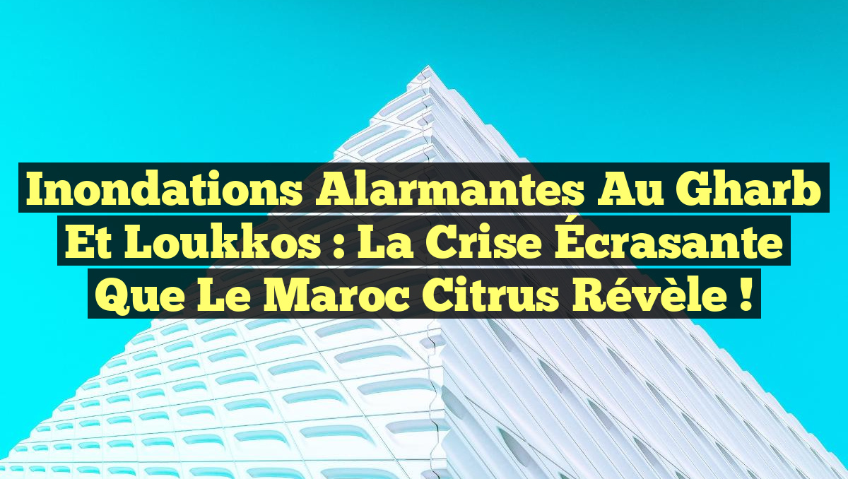 Inondations Alarmantes au Gharb et Loukkos : La Crise Écrasante que le Maroc Citrus Révèle !