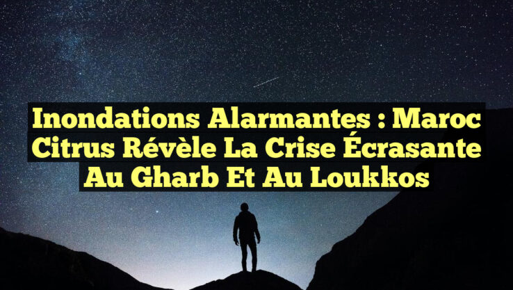 Inondations Alarmantes : Maroc Citrus Révèle la Crise Écrasante au Gharb et au Loukkos