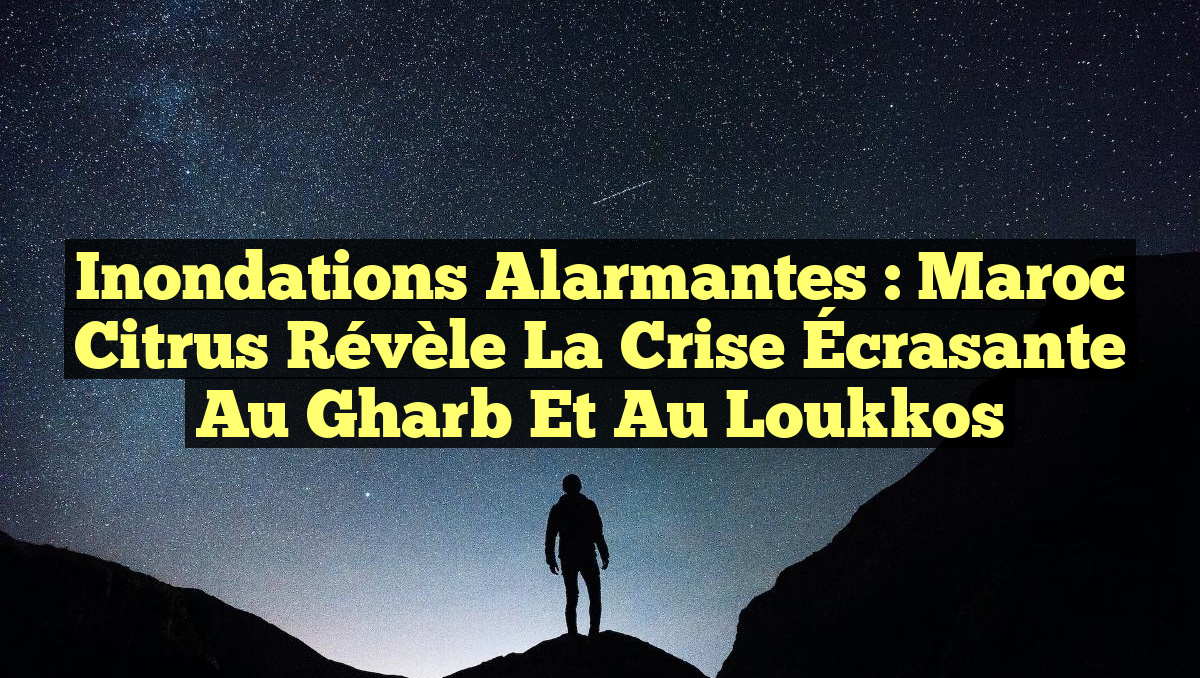 Inondations Alarmantes : Maroc Citrus Révèle la Crise Écrasante au Gharb et au Loukkos