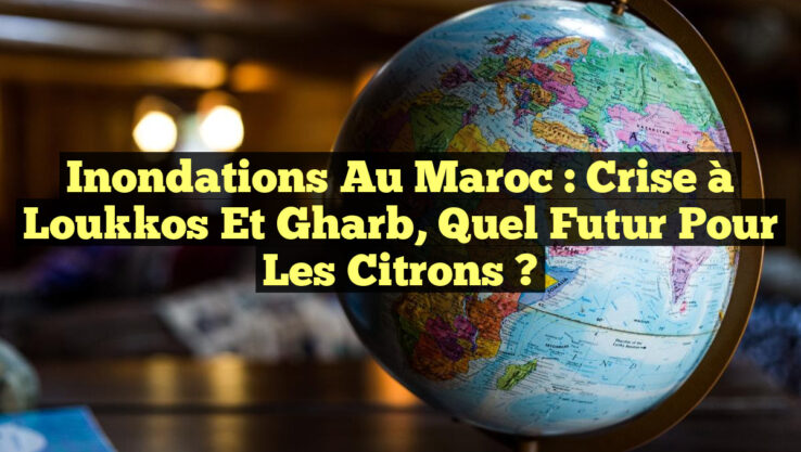 Inondations au Maroc : Crise à Loukkos et Gharb, Quel Futur pour les Citrons ?