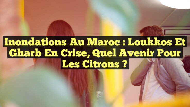 Inondations au Maroc : Loukkos et Gharb en Crise, Quel Avenir pour les Citrons ?