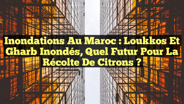 Inondations au Maroc : Loukkos et Gharb Inondés, Quel Futur pour la Récolte de Citrons ?