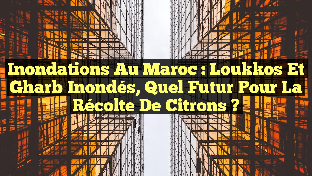 Inondations au Maroc : Loukkos et Gharb Inondés, Quel Futur pour la Récolte de Citrons ?