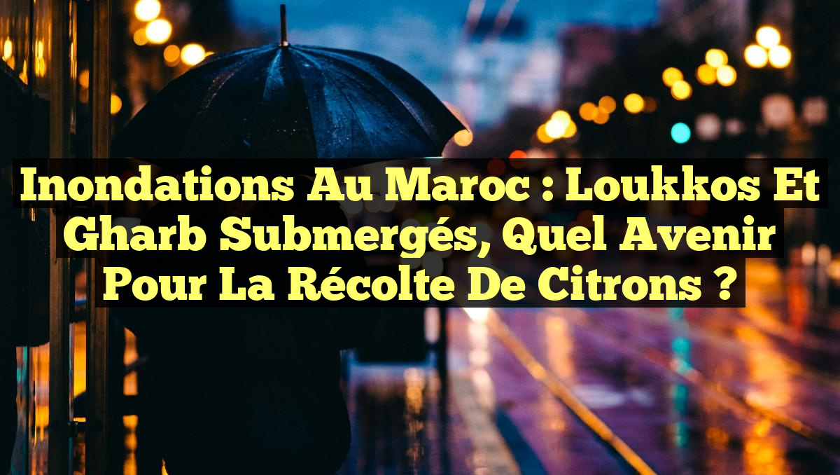 Inondations au Maroc : Loukkos et Gharb Submergés, Quel Avenir pour la Récolte de Citrons ?