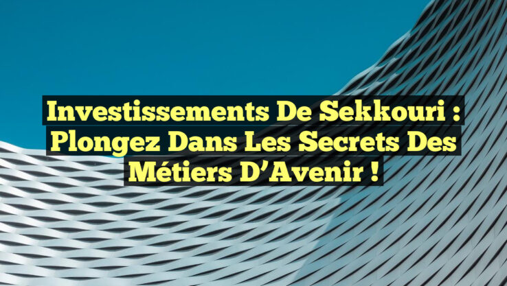 Investissements de Sekkouri : Plongez dans les Secrets des Métiers d’Avenir !