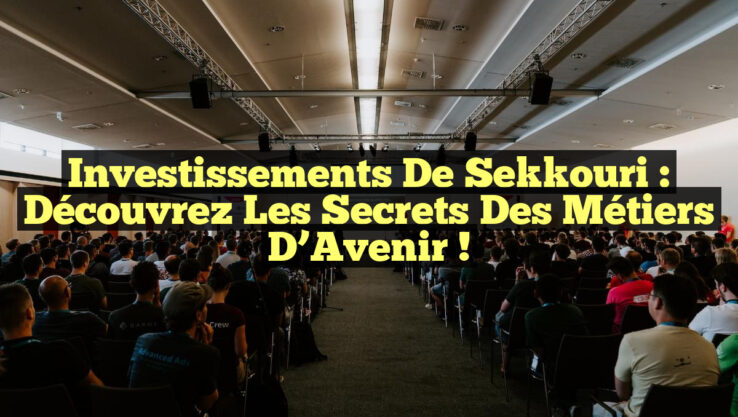 Investissements de Sekkouri : Découvrez les Secrets des Métiers d’Avenir !