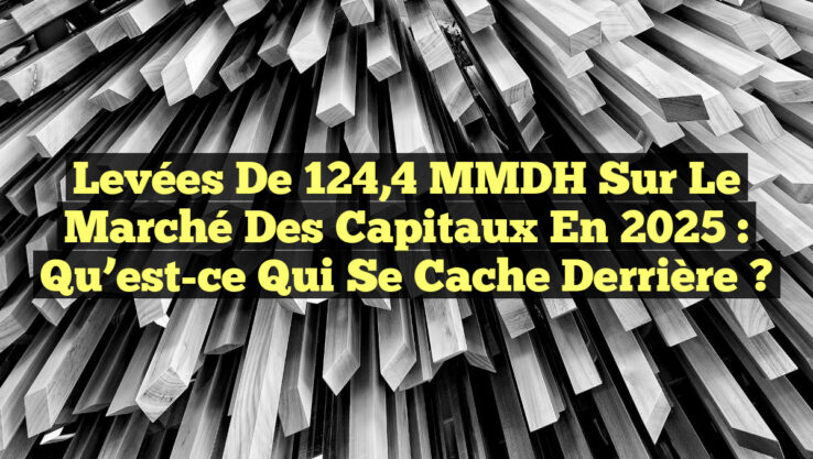 Levées de 124,4 MMDH sur le Marché des Capitaux en 2025 : Qu’est-ce qui se cache derrière ? Levées de 124,4 MMDH sur le Marché des Capitaux en 2025 : Qu’est-ce qui se cache derrière ?