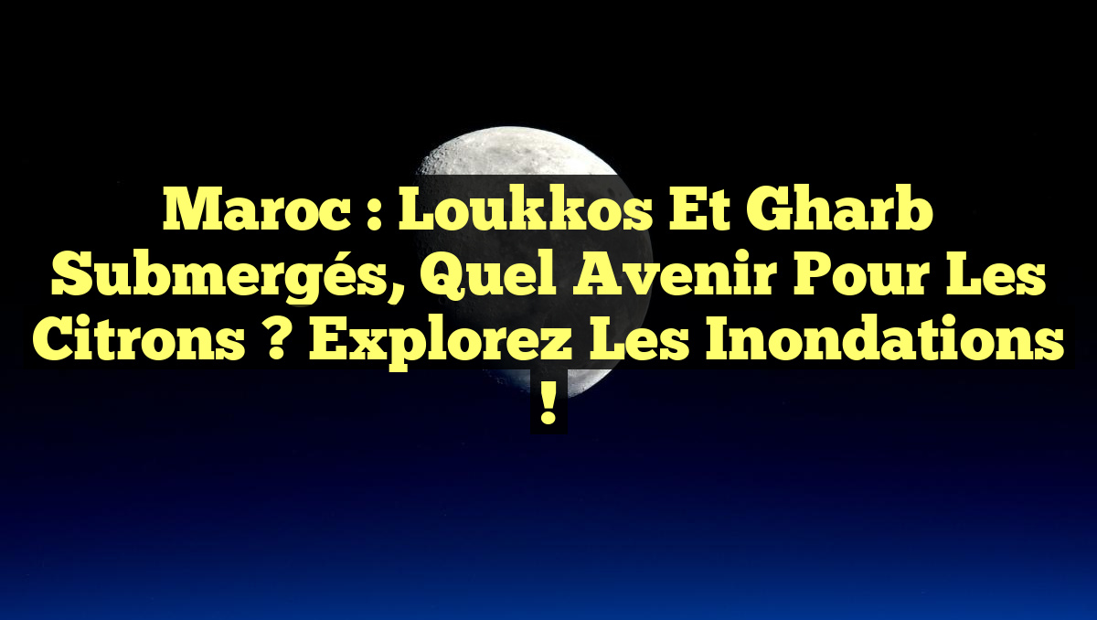Maroc : Loukkos et Gharb Submergés, Quel Avenir pour les Citrons ? Explorez les Inondations !