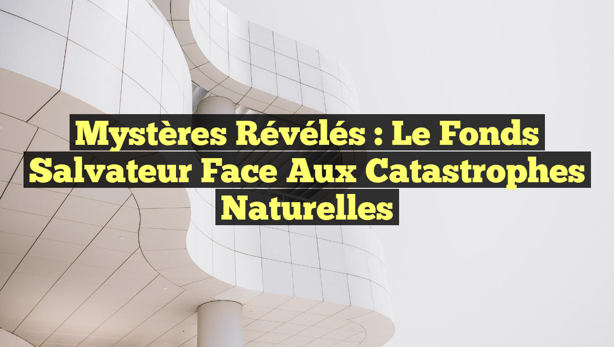 Mystères Révélés : Le Fonds Salvateur face aux Catastrophes Naturelles
