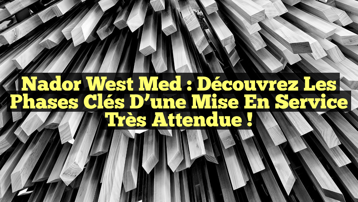 Nador West Med : Découvrez les Phases Clés d&rsquo;une Mise en Service Très Attendue !