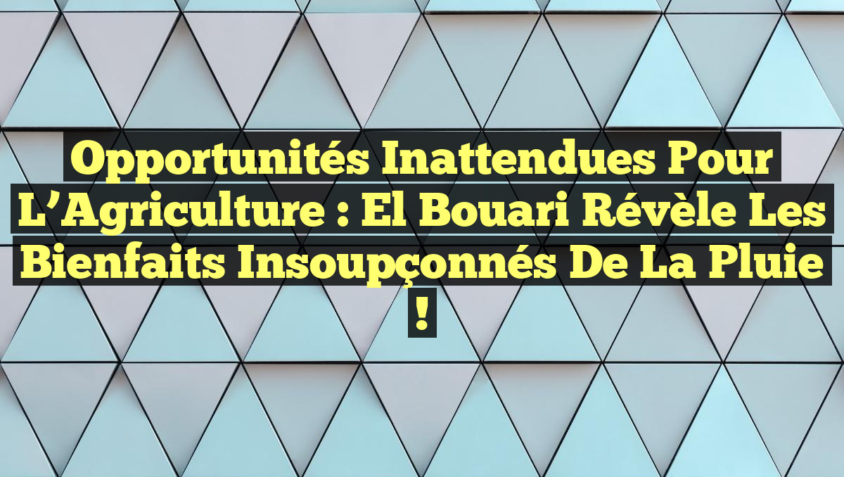 Opportunités Inattendues pour l’Agriculture : El Bouari Révèle les Bienfaits Insoupçonnés de la Pluie !