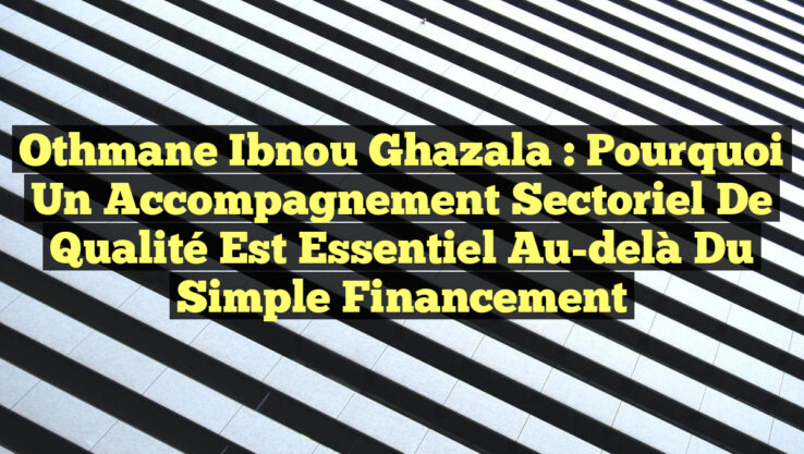 Othmane Ibnou Ghazala : Pourquoi un accompagnement sectoriel de qualité est essentiel au-delà du simple financement