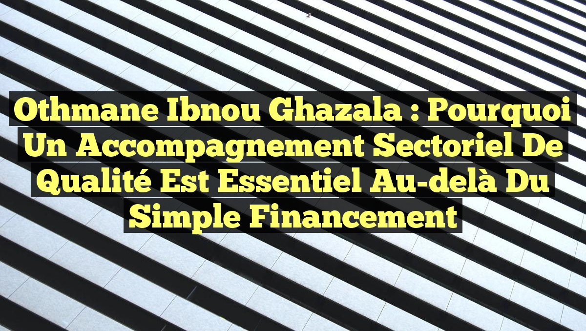Othmane Ibnou Ghazala : Pourquoi un accompagnement sectoriel de qualité est essentiel au-delà du simple financement