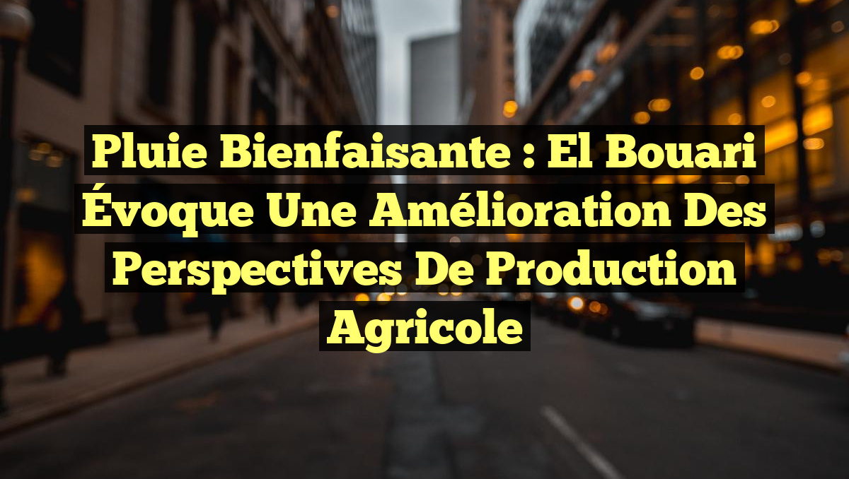 Pluie Bienfaisante : El Bouari Évoque une Amélioration des Perspectives de Production Agricole