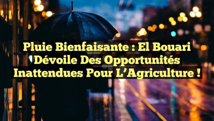 Pluie Bienfaisante : El Bouari Dévoile des Opportunités Inattendues pour l’Agriculture !