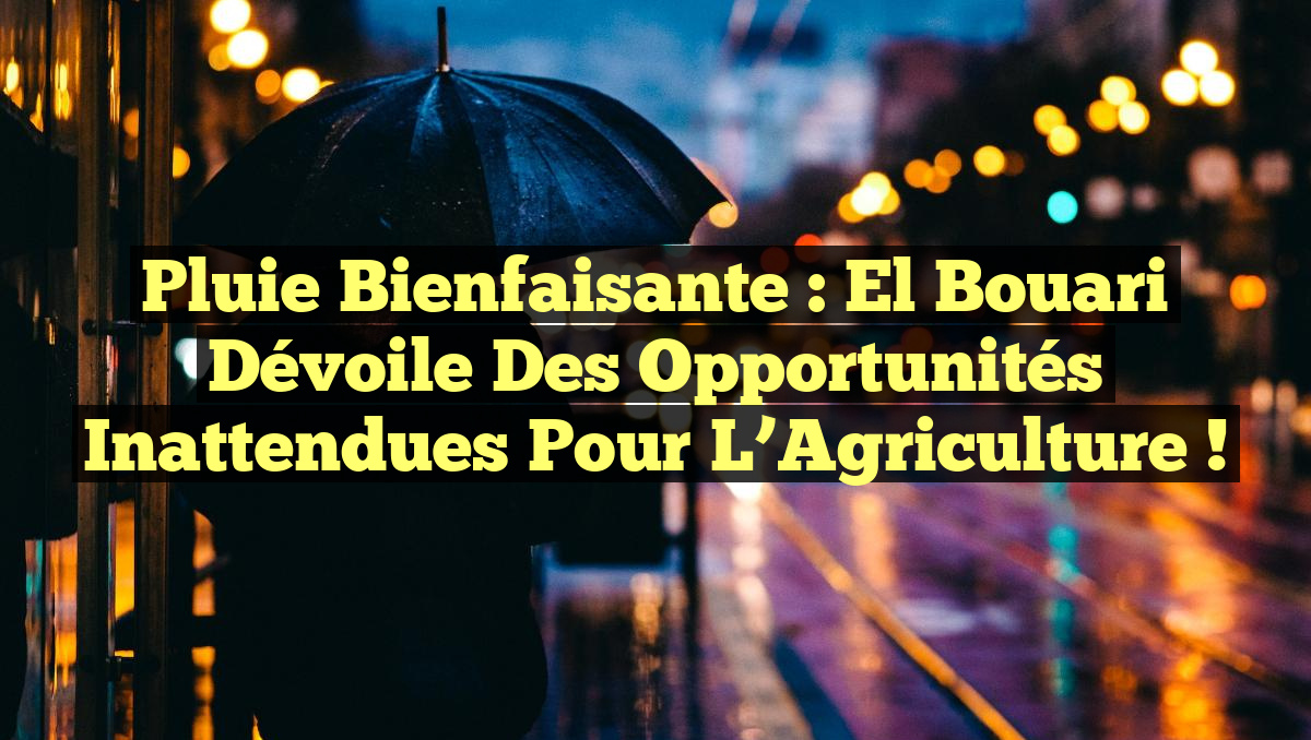Pluie Bienfaisante : El Bouari Dévoile des Opportunités Inattendues pour l&rsquo;Agriculture !