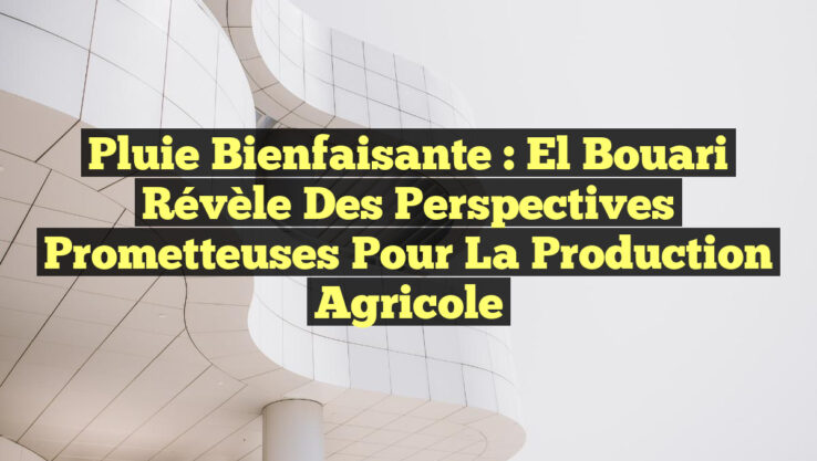 Pluie Bienfaisante : El Bouari Révèle des Perspectives Prometteuses pour la Production Agricole