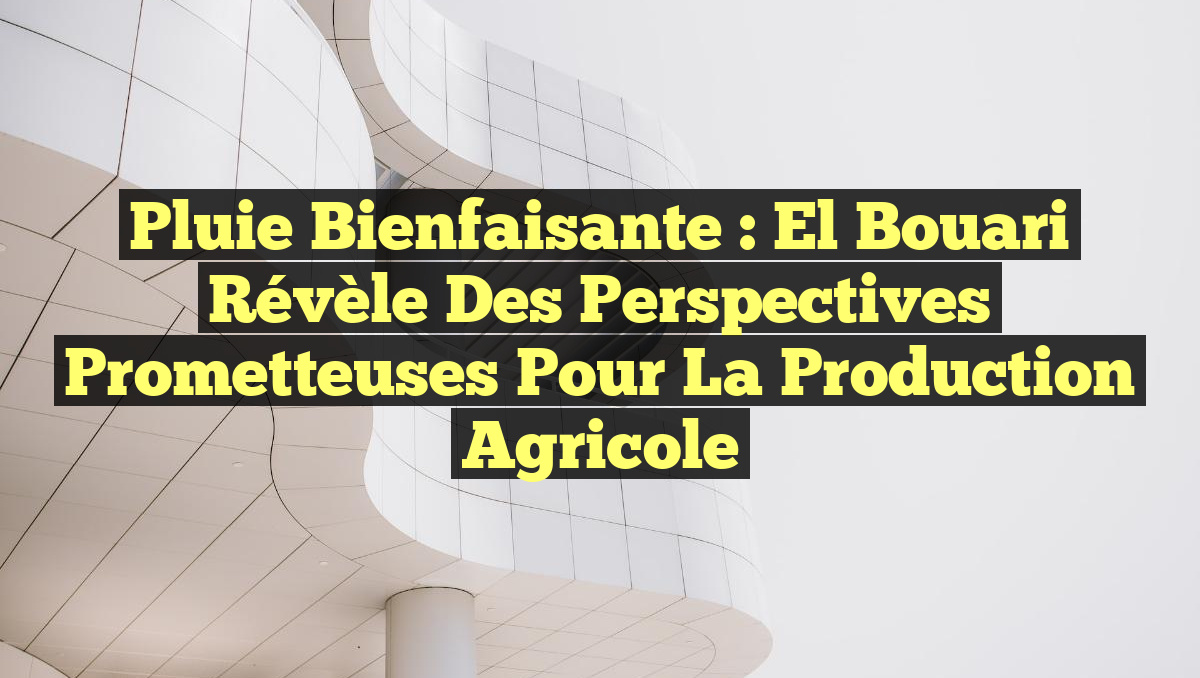 Pluie Bienfaisante : El Bouari Révèle des Perspectives Prometteuses pour la Production Agricole