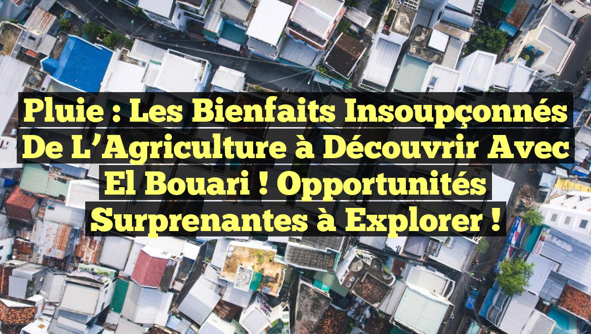 Pluie : Les Bienfaits Insoupçonnés de l&rsquo;Agriculture à Découvrir avec El Bouari ! Opportunités Surprenantes à Explorer !