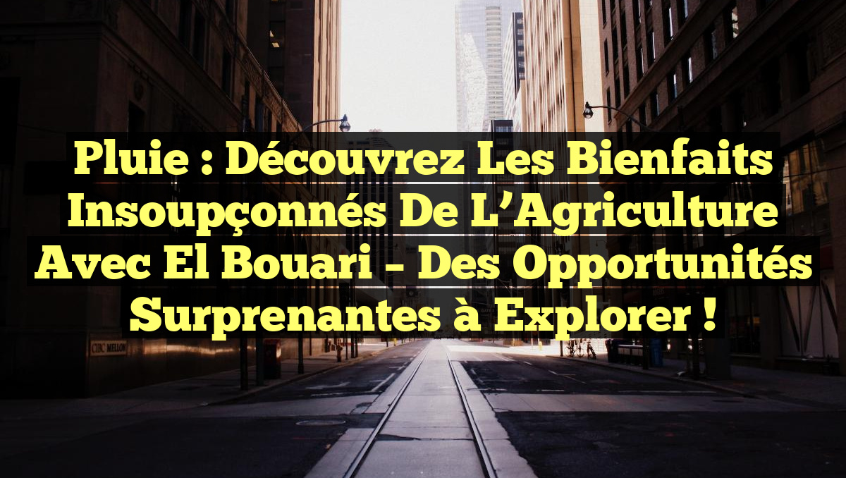 Pluie : Découvrez les Bienfaits Insoupçonnés de l’Agriculture avec El Bouari – Des Opportunités Surprenantes à Explorer !