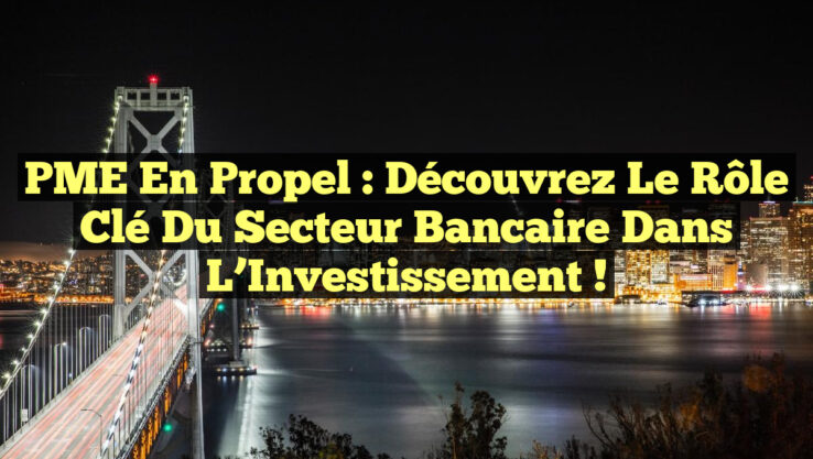 PME en Propel : Découvrez le Rôle Clé du Secteur Bancaire dans l’Investissement !