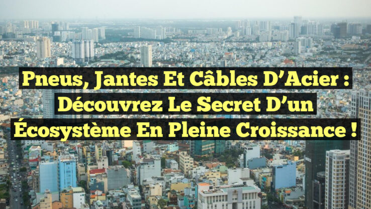 Pneus, Jantes et Câbles d’Acier : Découvrez le Secret d’un Écosystème en Pleine Croissance !