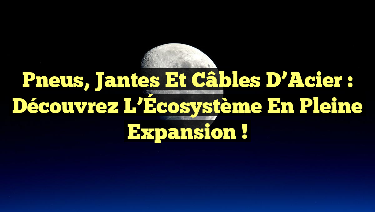 Pneus, Jantes et Câbles d&rsquo;Acier : Découvrez l&rsquo;Écosystème en Pleine Expansion !