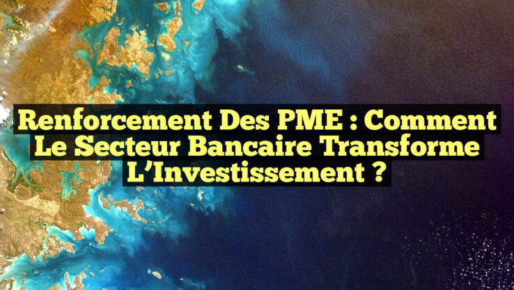 Renforcement des PME : Comment le Secteur Bancaire Transforme l’Investissement ?